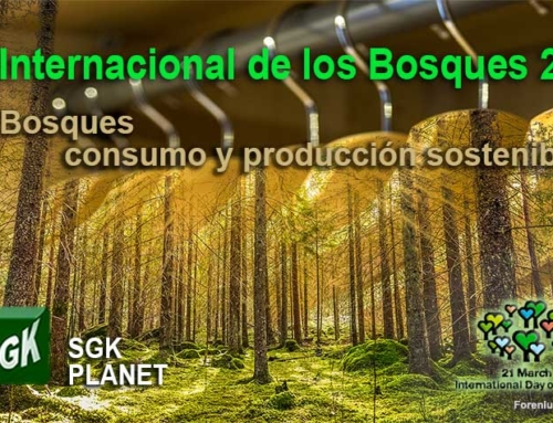 Día Internacional de los Bosques 2022. Bosques, su consumo y producción sostenibles.