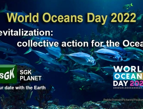 Revitalization: collective action for the Ocean. World Oceans Day 2022